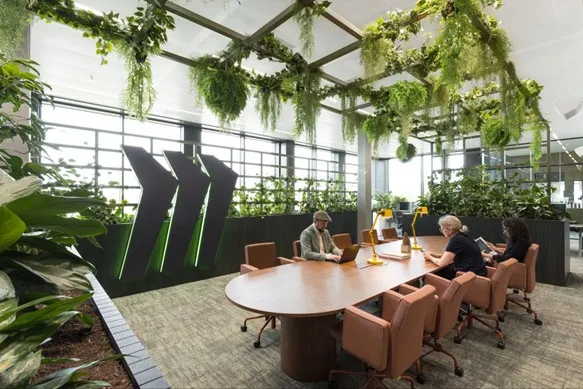 An example of biophilia workplace design at Miro's HQ in Amsterdam featuring a couple of individuals seated at a large wooden table, surrounded by hanging plants.